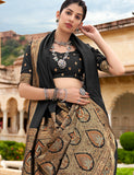 Kaali Kanchan|Black Jacquard Woven Saree with Blouse